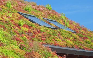 Ulverley Green living roof systems